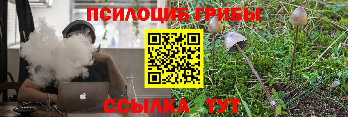 Галлюциногенные грибы GOLDEN TEACHER Белая Калитва