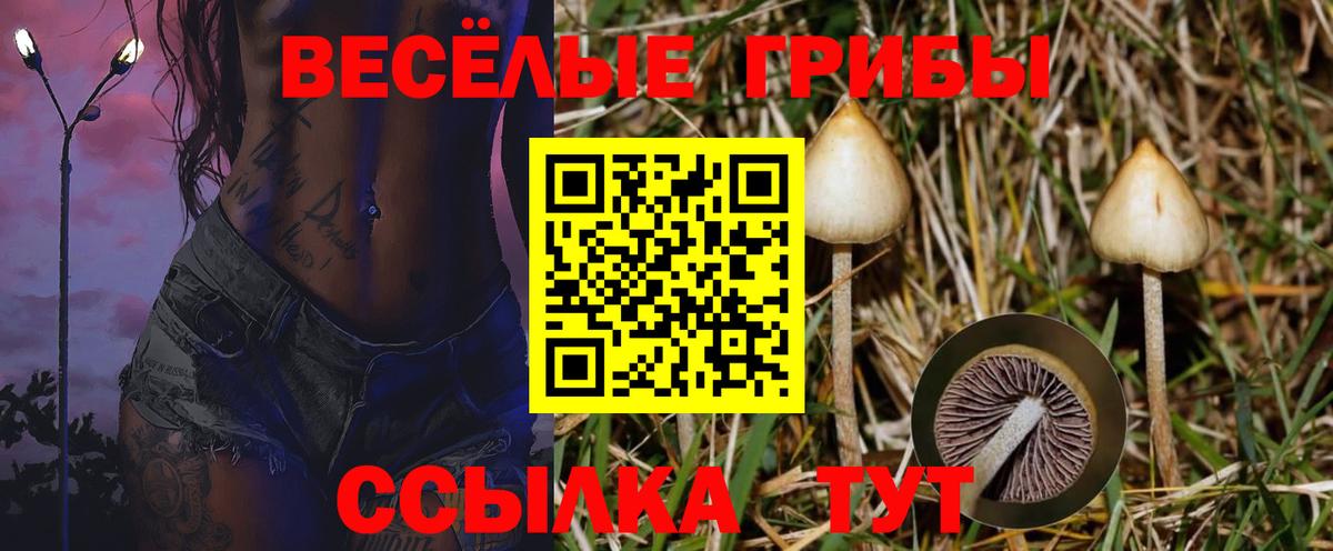 Галлюциногенные грибы Magic Shrooms  Вход с VPN  Псилоцибиновые грибы Psilocybe  Белая Калитва 